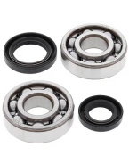 Rulmenti arbore cotit cu simeringuri All Balls HONDA CR 125 '80-'86
