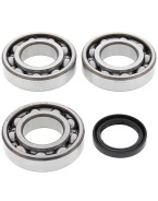 Rulmenti arbore cotit cu simeringuri All Balls POLARIS SPORTSMAN 400/500, MAGNUM 425/500