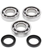 Rulmenti arbore cotit cu simeringuri All Balls POLARIS BIG BOSS 250 89-92, TRAIL BLAZER 250 90-92, TRAIL BOSS 250 88-92
