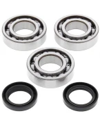Rulmenti arbore cotit cu simeringuri All Balls POLARIS BIG BOSS 250 93, TRAIL BLAZER 250 93-98, TRAIL BOSS 93-98