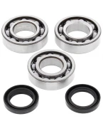 Rulmenti arbore cotit cu simeringuri All Balls POLARIS TRAIL BOSS / XPLORER 300