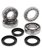 Rulmenti arbore cotit cu simeringuri All Balls POLARIS SPORTSMAN / TRAIL BOSS 350