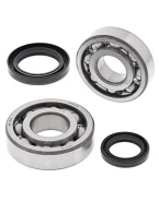 Rulmenti arbore cotit cu simeringuri All Balls SUZUKI RMX 250 '89-'94 - WYCOFANE Z OFERTY