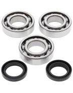 Rulmenti arbore cotit cu simeringuri All Balls POLARIS TRAIL BLAZER 250 99-06, TRAIL BOSS 250 99, XPLORER 250 00-02