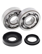 Rulmenti arbore cotit cu simeringuri All Balls POLARIS SPORTSMAN 90 07-10
