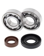 Rulmenti arbore cotit cu simeringuri All Balls KTM SX 50 '02-'08