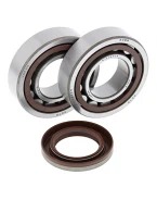 Rulmenti arbore cotit cu simeringuri All Balls KTM SX/EXC 400/450/520/525
