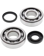 Rulmenti arbore cotit cu simeringuri All Balls HUSQVARNA WR 250 '99-'13, CR250 '99-'04, WR300 '08-'13
