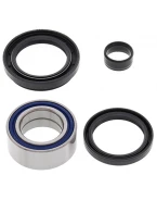 Rulmenti roata fata cu simeringuri All Balls HONDA TRX 300FW FOURTRAX 4X4 '88-'00,TRX 420 FA '09-'14,TRX 420 FE/FM '07-'13,TRX 420 FPA '09-