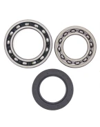 Rulmenti roata spate cu simeringuri All Balls YAMAHA YFM 350 BIG BEAR '87-'95