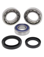 Rulmenti roata spate cu simeringuri All Balls YAMAHA YFM 350FX WOLVERINE '00-'05