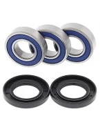Rulmenti roata spate cu simeringuri All Balls YAMAHA TTR 250 '99-'06