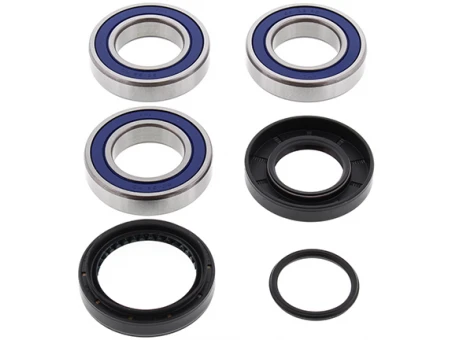 Rulmenti roata spate cu simeringuri All Balls HONDA TRX 250 RECON '97-'19, SPORTRAX '01-'19