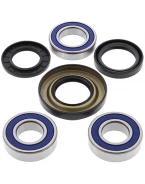 Rulmenti roata spate cu simeringuri All Balls HONDA TRX 350/400/450, TRX500 '01-'14