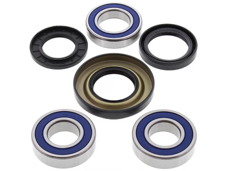 Rulmenti roata spate cu simeringuri All Balls HONDA TRX 350/400/450, TRX500 '01-'14