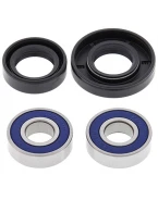 Rulmenti roata fata cu simeringuri All Balls YAMAHA TTR 125 '00-'14 (TARCZA HAM)