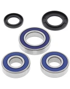 Rulmenti roata spate cu simeringuri All Balls KAWASAKI ZXR 750 87-90