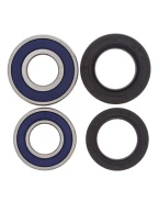 Rulmenti roata spate cu simeringuri All Balls HONDA XR 650R '00-'08