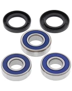 Rulmenti roata spate cu simeringuri All Balls HONDA CBR 600F '95-'96, CBR 900RR '93-'95, VT 750C '98-'07