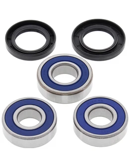 Rulmenti roata spate cu simeringuri All Balls HONDA CBR 600F '95-'96, CBR 900RR '93-'95, VT 750C '98-'07