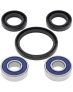 Rulmenti roata fata cu simeringuri All Balls SUZUKI AN400 BURGMAN '09-'13