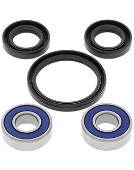 Rulmenti roata fata cu simeringuri All Balls SUZUKI AN400 BURGMAN '09-'13