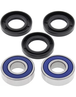 Rulmenti roata fata cu simeringuri All Balls SUZUKI GSX600F 03-06, BURGMAN650 03-17, DL 650V-STROM 04-17,GSF650 05-07,SFV650 09-15,SV650 03-17