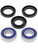 Rulmenti roata fata cu simeringuri All Balls BMW F 650 '93-'12, F 700 '13-'14 TYLNEGO YAMAHA XT600 '96-'00