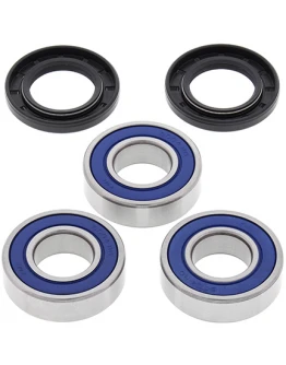 Rulmenti roata spate cu simeringuri All Balls KAWASAKI KX 125/250 '97-'02, KX 500 '94-'04