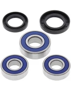 Rulmenti roata spate cu simeringuri All Balls HONDA XL 600V TRANSALP '87-'96, NX 650 '88-'99, FX 650 '99-'00, SLR 650