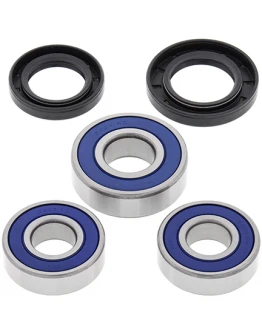 Rulmenti roata spate cu simeringuri All Balls HONDA XL 600V TRANSALP '87-'96, NX 650 '88-'99, FX 650 '99-'00, SLR 650