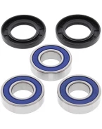 Rulmenti roata spate cu simeringuri All Balls YAMAHA YZ/WR DO (98), DT 125R/RE/X '91-'06