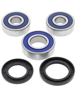 Rulmenti roata spate cu simeringuri All Balls KAWASAKI ZX6R '90-'93, VN800E '01-'06