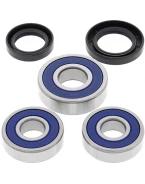 Rulmenti roata spate cu simeringuri All Balls HONDA CB 750 FOUR SUPER SPORT '75-'82, CB 900F '81-'82, CBX 1000 '79-'82