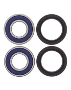 Rulmenti roata fata cu simeringuri All Balls KAWASAKI ER-6/VN/ZX/KLE, TRIUMPH