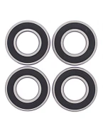 Rulmenti roata spate cu simeringuri All Balls HARLEY-DAVIDSON ROAD KING/ELECTRA/STREET GLIDE (09)