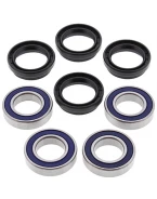 Rulmenti roata spate cu simeringuri All Balls YAMAHA YFM 660 (02)