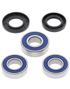 Rulmenti roata spate cu simeringuri All Balls GAS GAS EC 125 '01-'02, EC 200/250/300 '99-'02