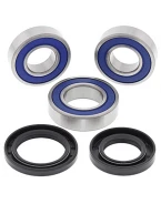 Rulmenti roata spate cu simeringuri All Balls GAS GAS 125/200/250/300/450 '03-'19
