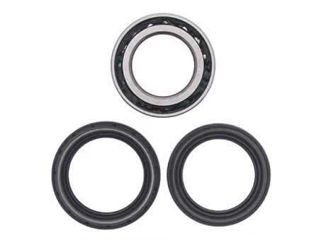 Rulmenti roata spate cu simeringuri All Balls HONDA TRX 650/680 RINCON '03-'19
