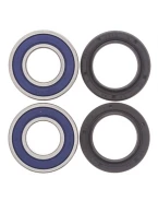 Rulmenti roata fata cu simeringuri All Balls HONDA CB600HORNET'98-'01,CBR600F'95-'98,CBR1000F'90-'96,CBR900RR'95-'97, VTR1000F`97-05,TRX250