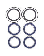 Rulmenti roata spate cu simeringuri All Balls SUZUKI LTR 450 '06-'12