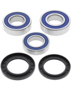 Rulmenti roata spate cu simeringuri All Balls YAMAHA FZ8 '12-'14