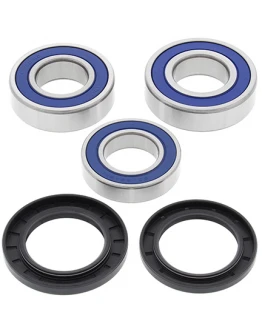 Rulmenti roata spate cu simeringuri All Balls YAMAHA FZ8 '12-'14