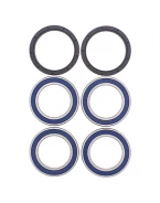 Rulmenti roata spate cu simeringuri All Balls CAN-AM DS450 EFI/STD/X '09-'14