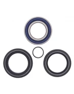 Rulmenti roata fata cu simeringuri All Balls HONDA TRX 500FA/FE/FM '05-'14, TRX 680 RINCON '06-'17