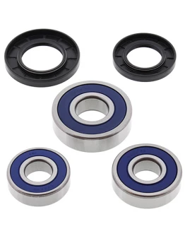 Rulmenti roata spate cu simeringuri All Balls APRILIA CAPONORD '01-'07, TRIUMPH AMERICA '02-'13, TROPHY 1200 '91-'03