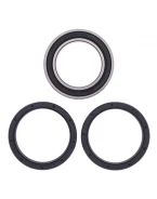 Rulmenti roata spate cu simeringuri All Balls CAN-AM DS450 EFI/STD/X '09-'14 UPGRADE