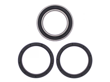 Rulmenti roata spate cu simeringuri All Balls CAN-AM DS450 EFI/STD/X '09-'14 UPGRADE
