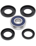 Rulmenti roata spate cu simeringuri All Balls CF MOTO CF GLORY, CF 150T CHARM, CFE JEWEL, HONDA CN 250 86-07, NSS 250 01-07, PCX 125 11-13, SH 150 01-10